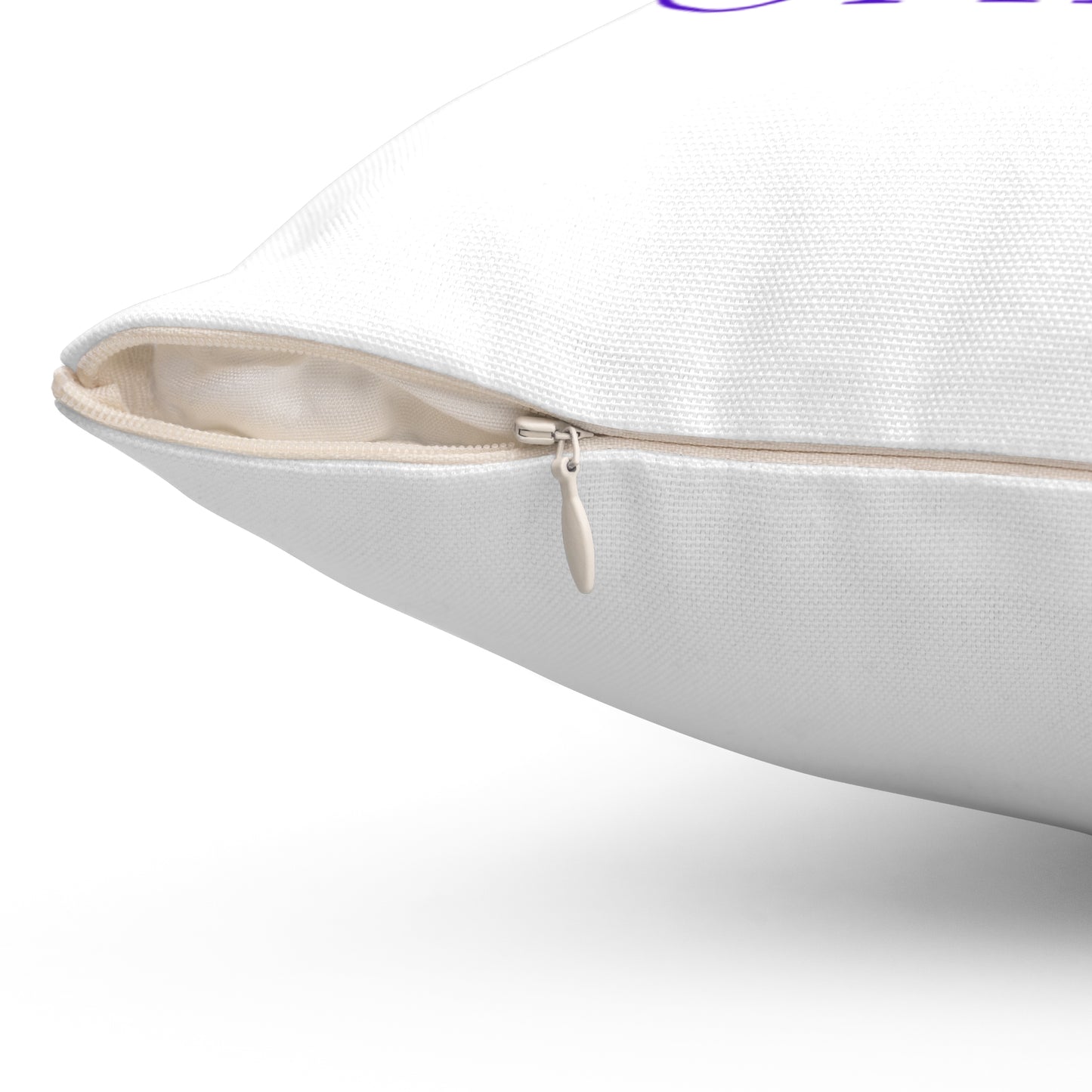 LIU XCHANGE Square Pillow