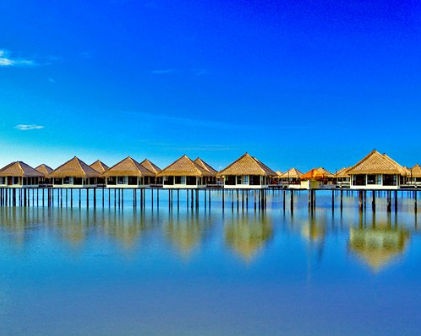 $5 Raffle to Xperience LIU